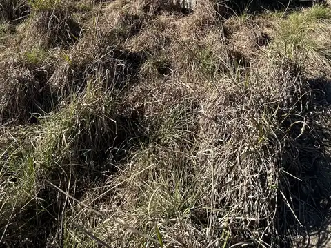 Terreno en Venta en Ataliva, USD 18.000