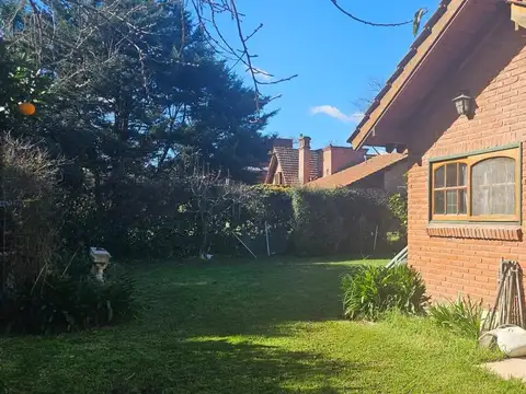 Mapuche CC 100