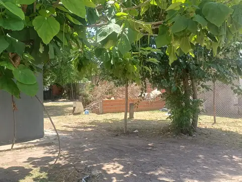 Terreno en Venta 24  mts Frente