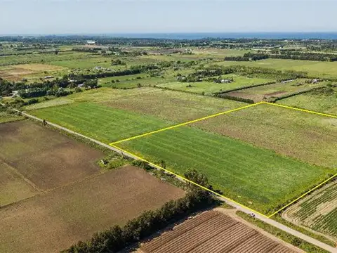 PROPIEDADES RURALES - CHACRA - MONTEVIDEO