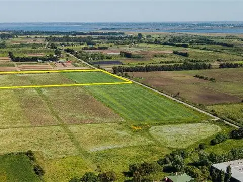 Campo en Venta de 5  ha