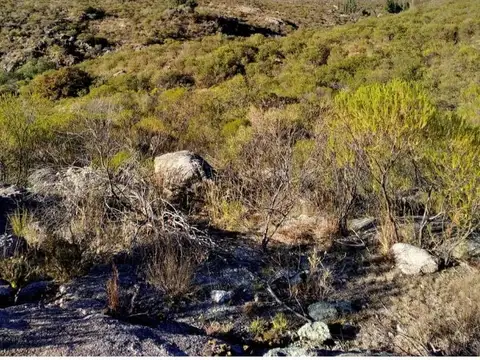 Terreno en Venta de 78000,0 m2