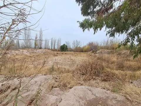 Terreno en Alquiler de 50000,0 m2