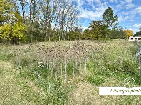 Lotes en venta en Amarylis C.C