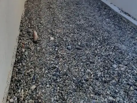 Casa en Alquiler de 2 dormitorios