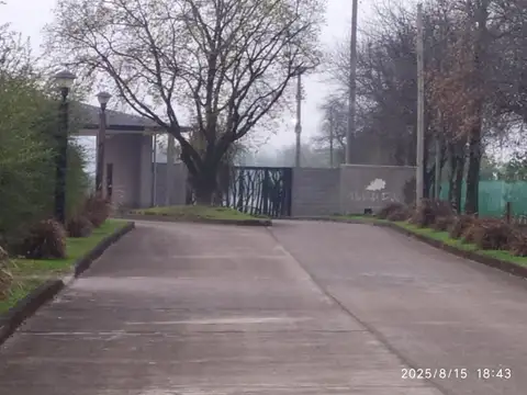 Avenida Crazy Skydiver