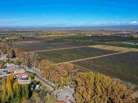 Ruta Provincial 15