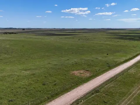 Campo en Venta de 96  ha