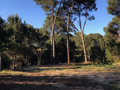 Terreno en Venta en Portezuelo, USD 115.000