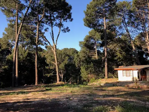 Terreno en Venta 22,75  mts Frente