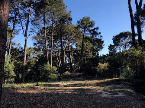 Terreno en Venta 64,66  mts Fondo