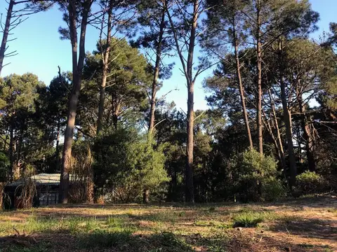 Terreno en venta de 1470m2 ubicado en Portezuelo