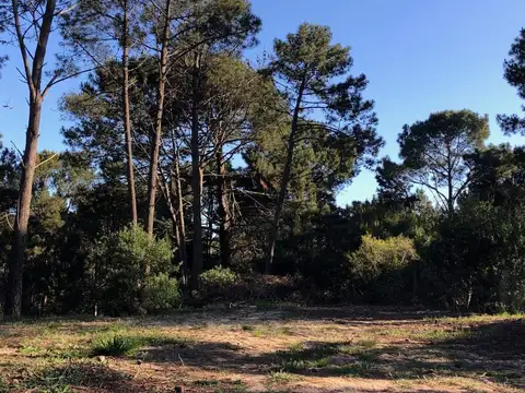 Terreno en Venta de 1470,0 m2