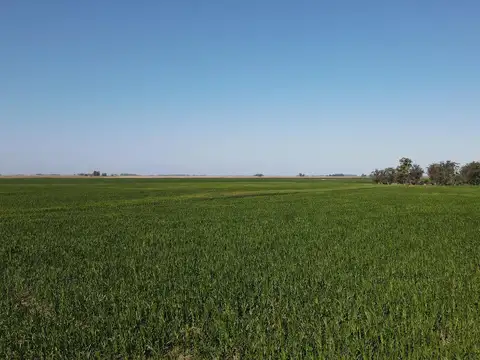Mar Chiquita