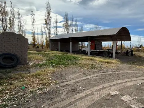 Calle C, General Alvear, Mendoza