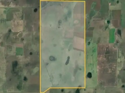 Venta de campo 740 HAS en Laboulaye, Córdoba.