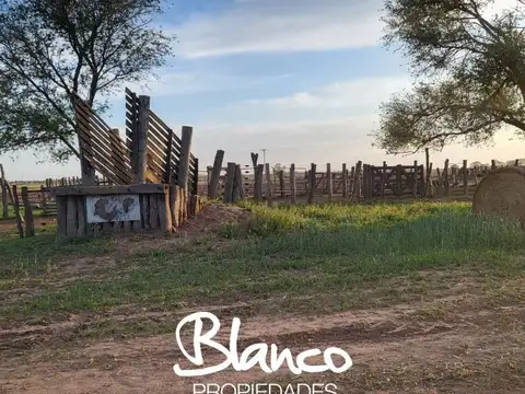 Campo Santa Rosa - La Pampa -