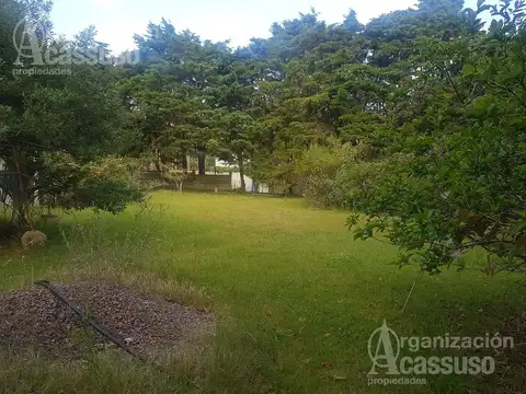 Local en Venta A Estrenar