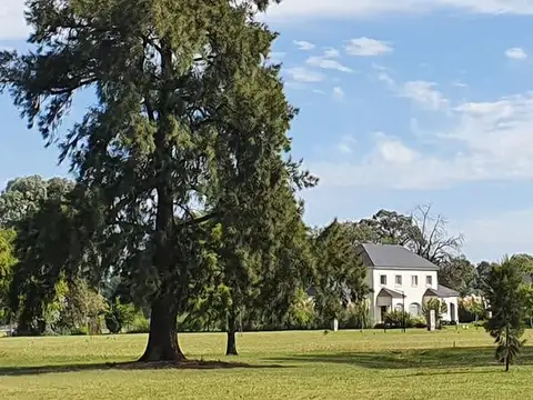 Lomas Golf - Lote 88