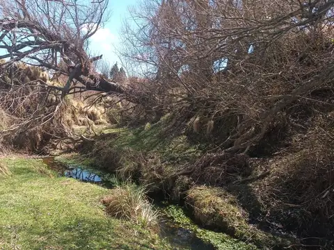 Terreno en Venta de 6900,0 m2