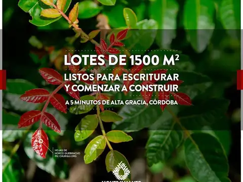 Terreno en Venta de 1555,0 m2
