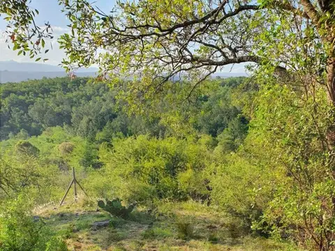 TERRENO EN VENTA EN SANTA ROSA