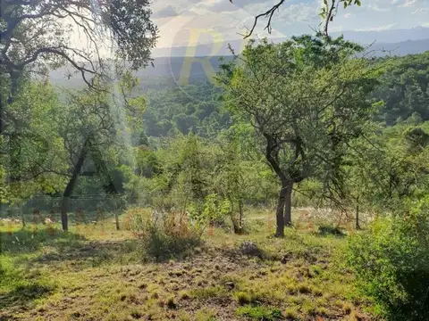 TERRENO EN BARRIO CERRADO POSTA CARRETA