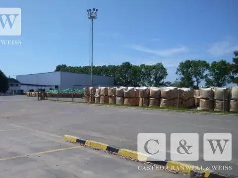 Tedín al 100