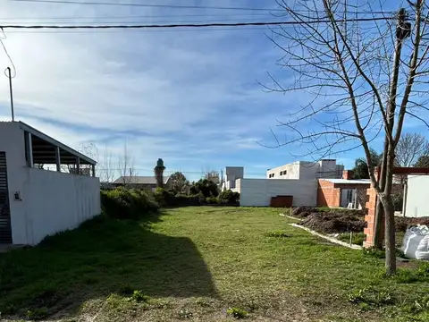 Río Negro al 1200