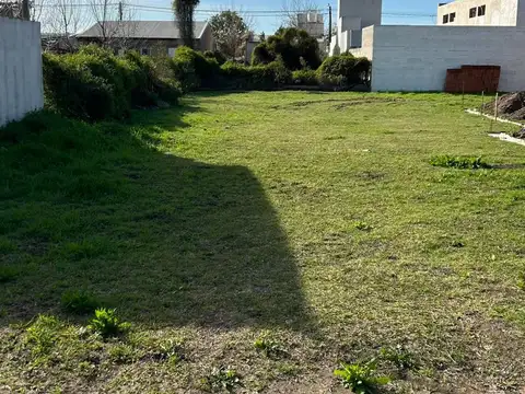 Río Negro al 1200