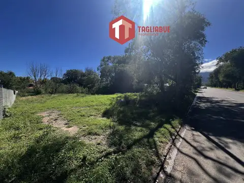 Terreno en Venta 41  mts Fondo