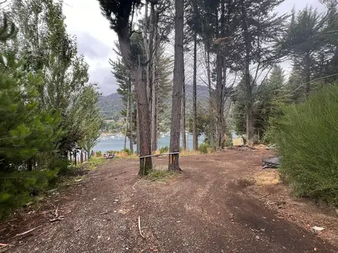 Los Pinos 200