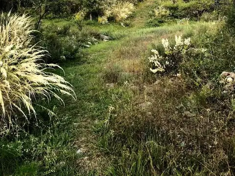 Inversor Venta Chacra - Villa Del Dique, Cordoba