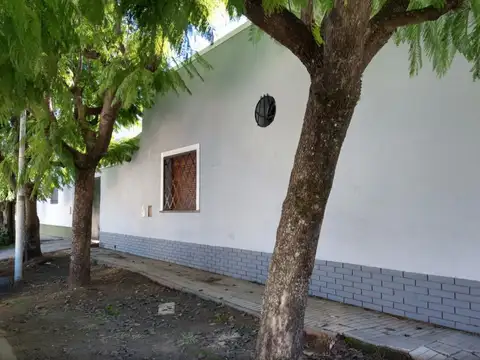 Ratti 100