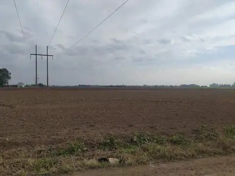 Campo en Venta de 4  ha