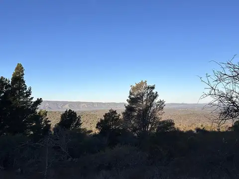 Atos Pampa