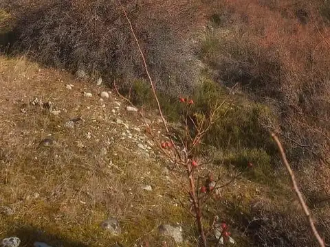 Ruta 40 KM 1900