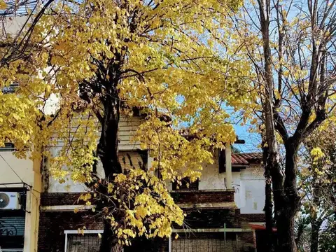 Martín Coronado (Leandro N Alem y San Lorenzo) Lote en esquina de 273 m2.