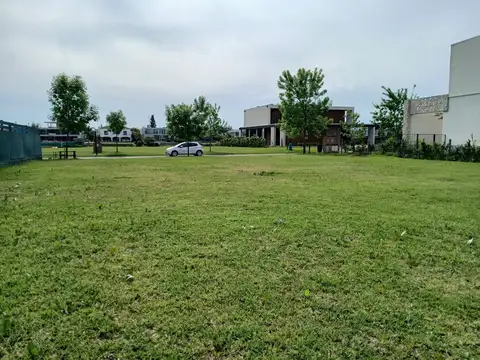 Virazon.  Nordelta 1000