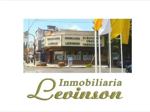 LOTE IDEAL EMPRENDIMIENTO SOBRE AVDA MITRE