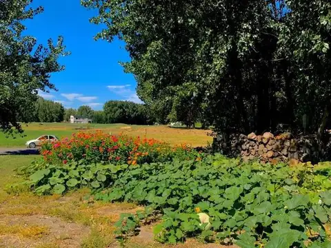 Avenida Mosconi  100