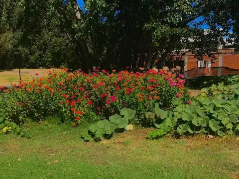 Avenida Mosconi  100