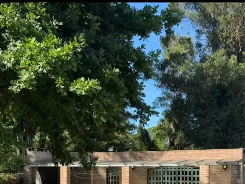 Quinta - Villa Elisa