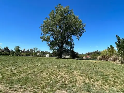 Terreno en Venta en Altos De Manzanares, USD 84.000