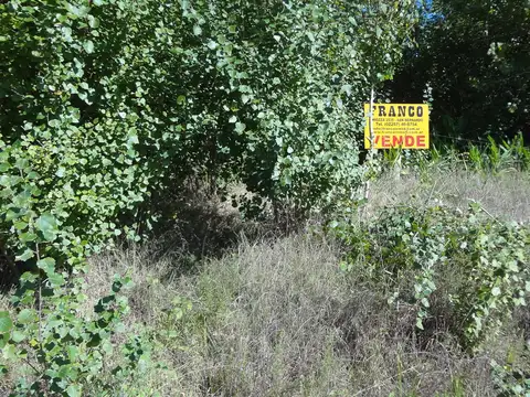 LOTE EN PAVON GARITA 2