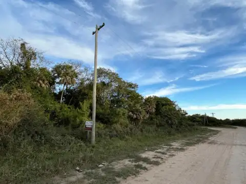 Campo de engorde 300ha ubicado en Vilelas