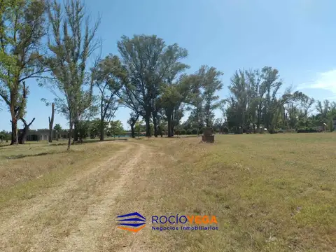 Terreno en Venta 60  mts Fondo
