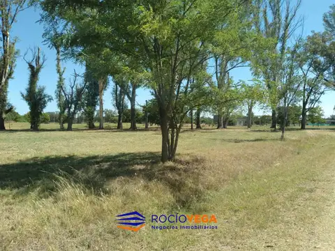 Terreno en Venta 40  mts Frente