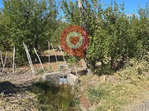 Chacra en Venta,frente a ruta N°65,Fdez Oro