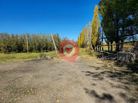 Chacra en Venta,frente a ruta N°65,Fdez Oro